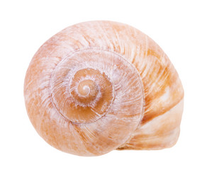 Similar image 21066014