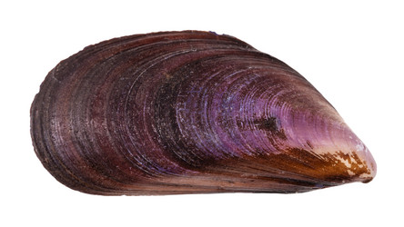 Similar image 21076301