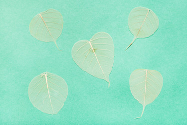 Similar image 21065044