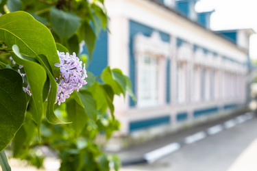 Similar image 21075857