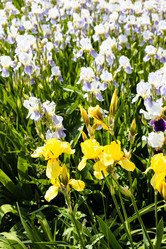 Similar image 21076319