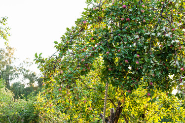 Similar image 21066694