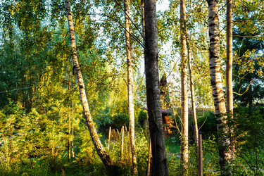 Similar image 21076323