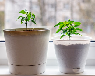 Similar image 21056890