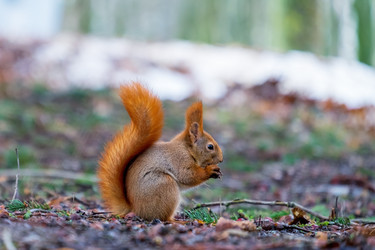 Similar image 21056896