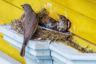 Similar image 21044750