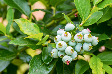 Similar image 21044751