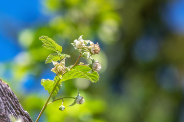 Similar image 21044754