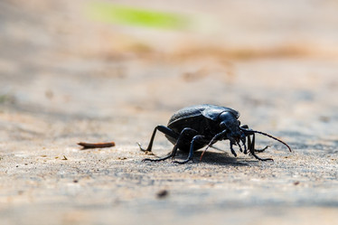 Similar image 21044757