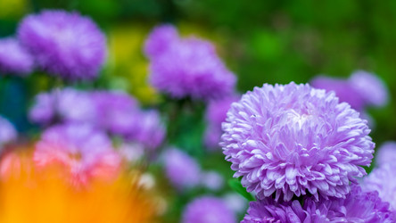 Similar image 21044758