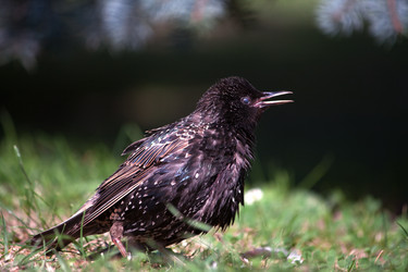 Similar image 21044501