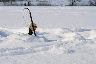 Similar image 21044504