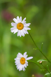 Similar image 21044505