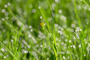 Similar image 21044772