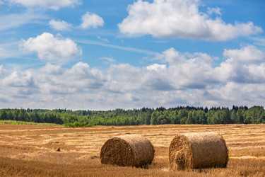 Similar image 21044774