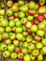 Similar image 21072870