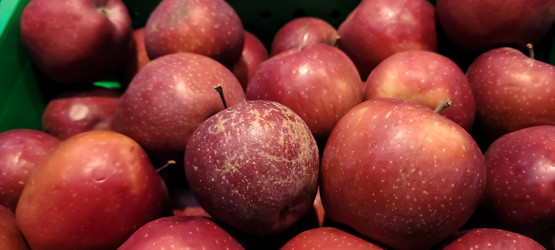 Similar image 21072871