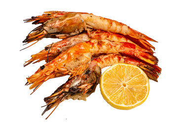 Similar image 21072912