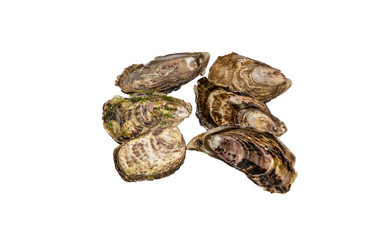 Similar image 21072913