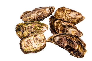 Similar image 21072914