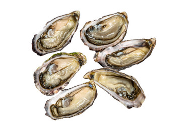 Similar image 21072916