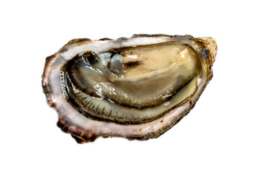 Similar image 21072917