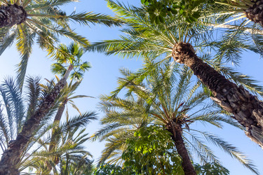 Similar image 21072793