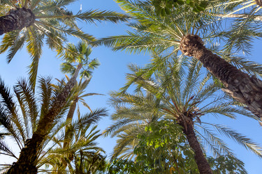 Similar image 21072794