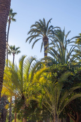 Similar image 21072795