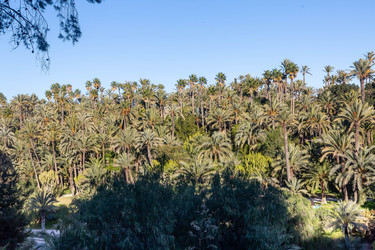 Similar image 21072884