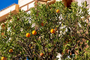 Similar image 21072888