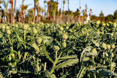 Similar image 21072889