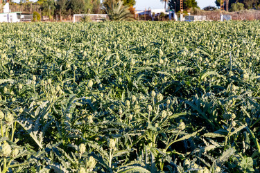 Similar image 21072890