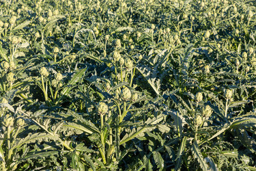 Similar image 21072891