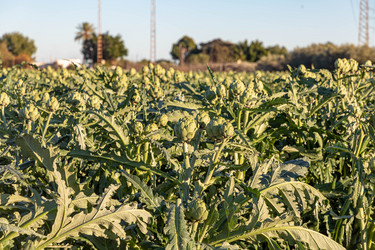 Similar image 21072892