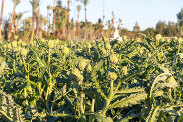 Similar image 21072893