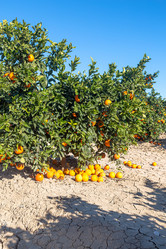 Similar image 21072898