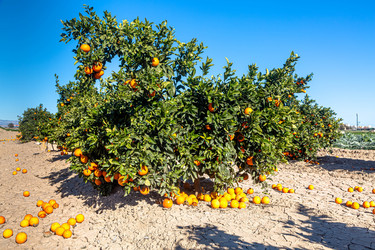 Similar image 21072899