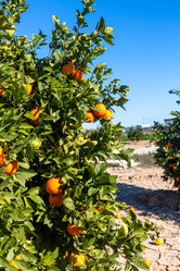 Similar image 21072902