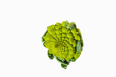 Similar image 21072904