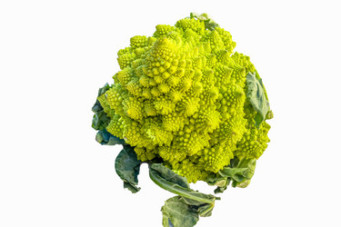 Similar image 21072905