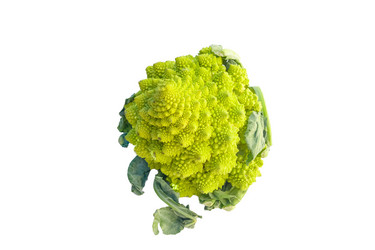 Similar image 21072906