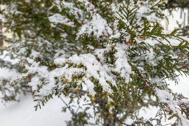 Similar image 21072908