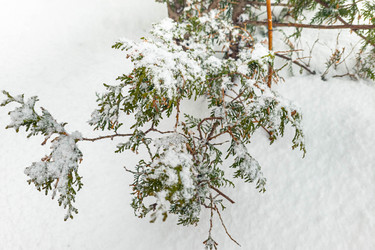 Similar image 21072909