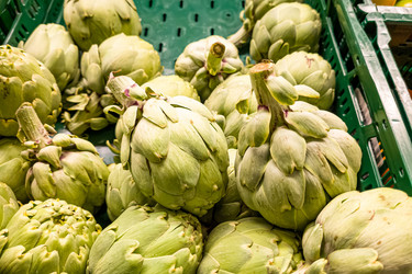 Similar image 21072910