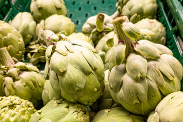 Similar image 21072942