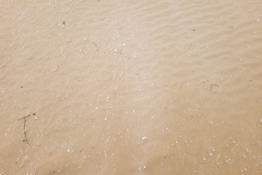 Similar image 21054670