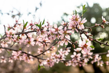 Similar image 21072956