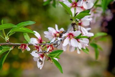 Similar image 21072957