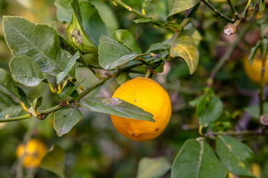 Similar image 21072958